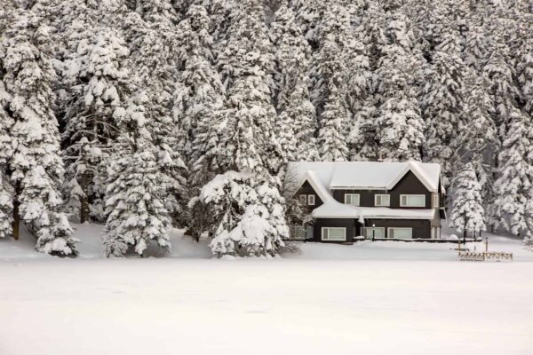 winter prep tips